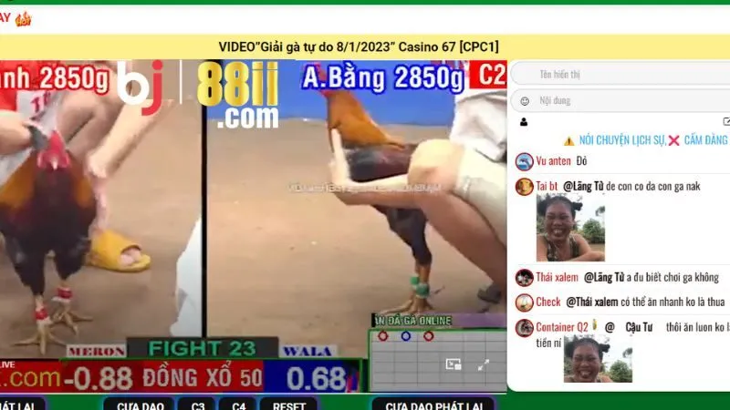 Đá Gà BJ88 - Cẩm Nang Kinh Nghiệm Đá Gà Trực Tuyến 2 Đừng nên bỏ qua luật chơi Đá Gà BJ88